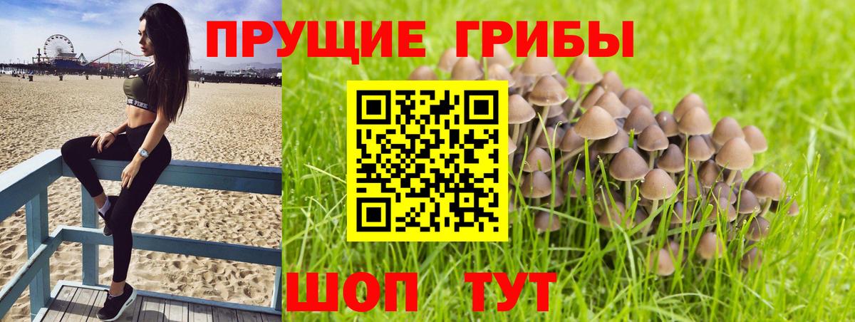 Псилоцибиновые грибы Magic Shrooms  Вход с VPN  купить наркоту  Партизанск 