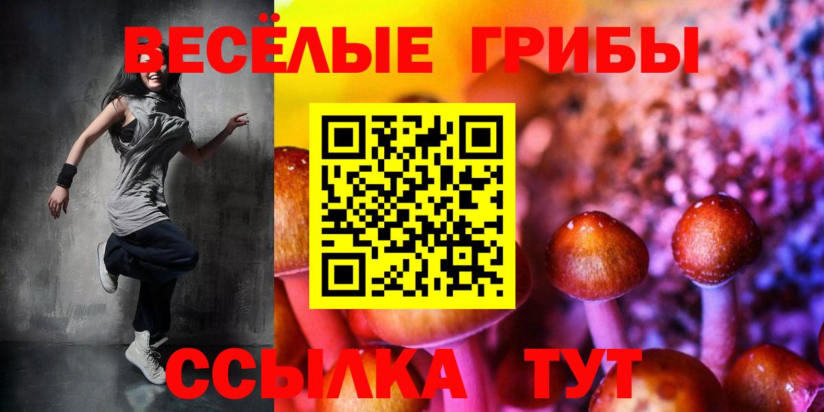 Галлюциногенные грибы MAGIC MUSHROOMS Партизанск